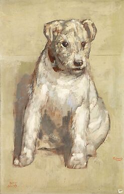 Le chien Betty