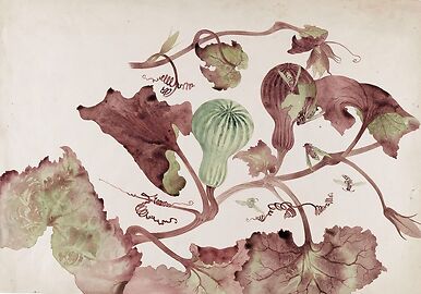 Squash and wasps