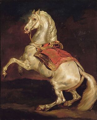 Cheval cabré dit Tamerlan