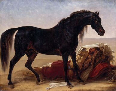 Cheval arabe