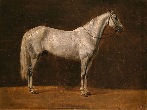 Cheval de Napoléon : "Le Sahara"