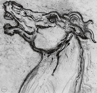 Horse head for Diomedes