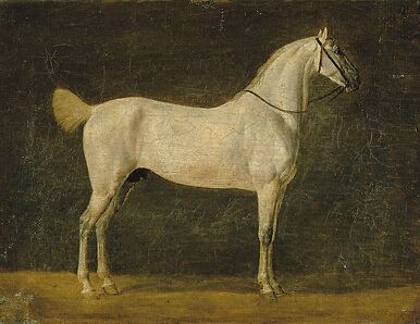 Cheval de Napoléon "le Distingué"