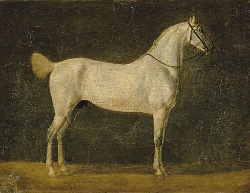 Napoleon's horse "The Distinguished One"