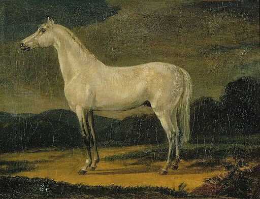 Napoleon's horse "the Vizir"