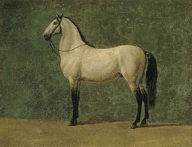 Napoleon 1st's horse "The Familiar"
