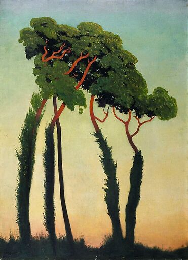 Sunshade pines
