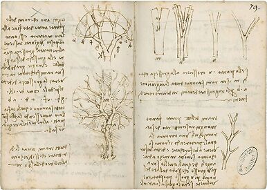 La croissance des arbres