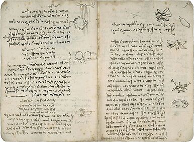 Le vent et les nuages. La mouche