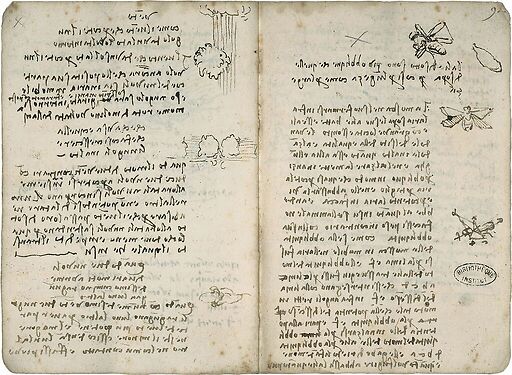 Le vent et les nuages. La mouche