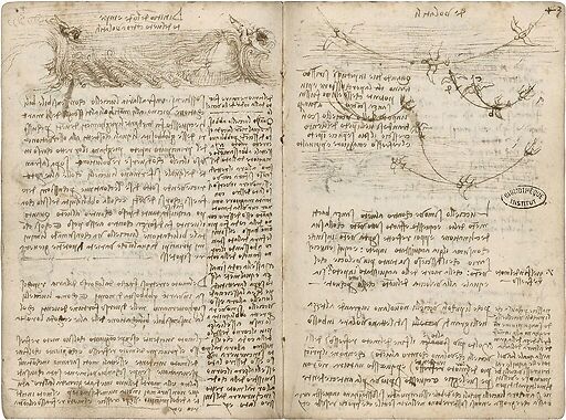 Phénomènes tourbillonnaires et ondulatoires, schéma d'interférences d'ondes circulaires