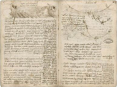 Phénomènes tourbillonnaires et ondulatoires, schéma d'interférences d'ondes circulaires