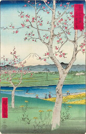 Musashi Koshigaya zai