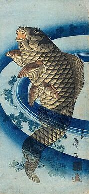 Carpe remontant le courant