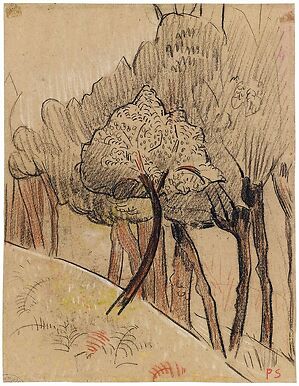 Orée d'un bois