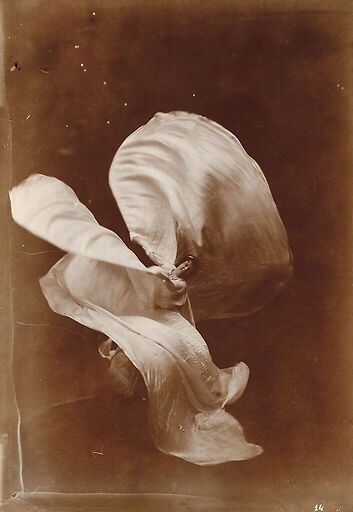 Mlle Loïe Fuller