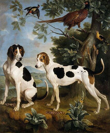 Pompée et Florissant, chiens de Louis XV