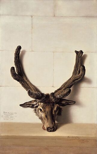 Tête de cerf bizarre sur un mur de pierre, signé et daté en bas à droite