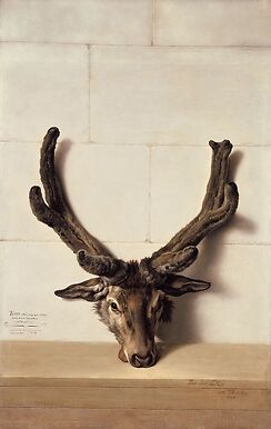 Tête de cerf bizarre sur un mur de pierre, signé et daté en bas à droite