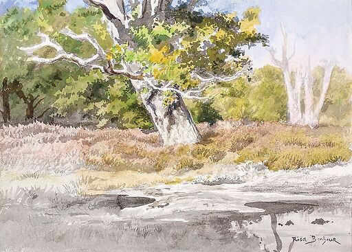 La Mare aux fées à Fontainebleau