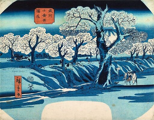 La floraison à Koganei