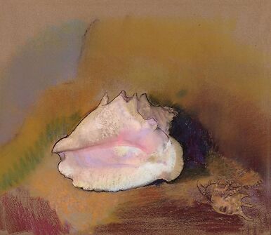La Coquille (détail)