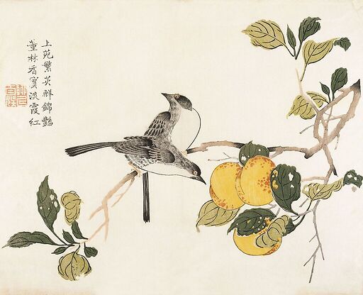 Jardin du grain de moutarde