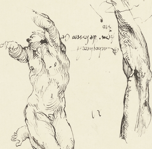 Study of male nude and study of arm - Michelangelo