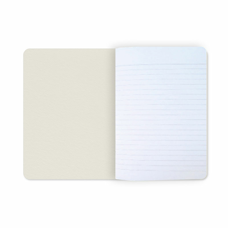 Cahier Edgar Degas - La classe de danse, vers 1873-1876