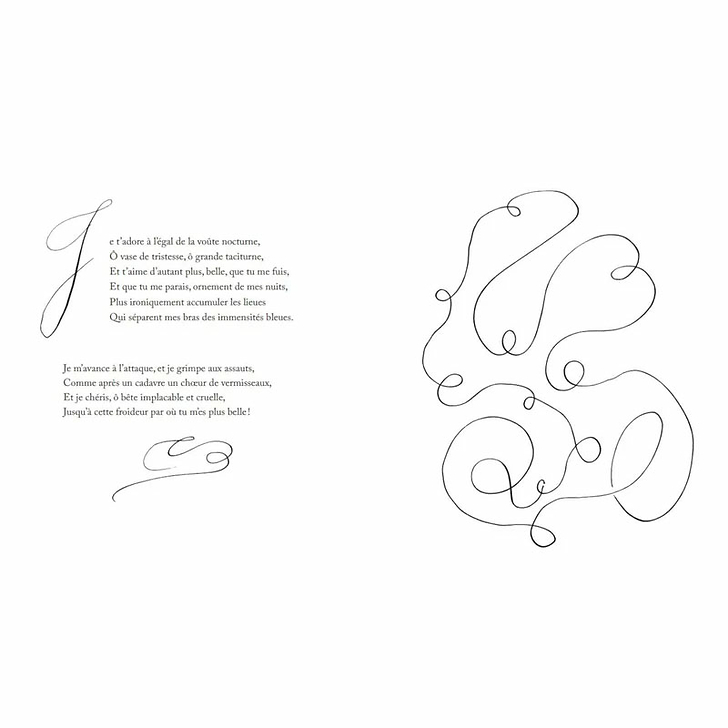 Matisse / Baudelaire Les Fleurs du mal