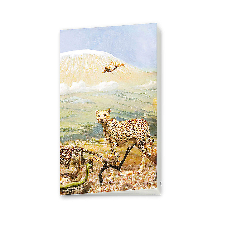 Small notebook : Diorama of Kilimandjaro