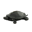 Tortue Barye - Bronze