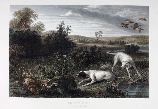 Folle and Mitte, dogs of Louis XIV - François Desportes (Colored)
