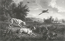 Diane et Blonde, chiennes de Louis XIV, chassant le faisan - François Desportes (Noir & Blanc)