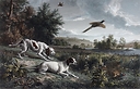 Engraving Diane and Blonde, dogs of Louis XIV, hunting pheasant - François Desportes (Colored)