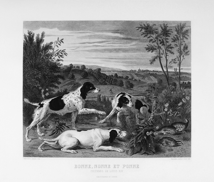 Estampe Bonne, Nonne et Ponne, chiennes de la meute de Louis XIV - François Desportes (Noir & Blanc)
