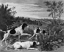 Bonne, Nonne et Ponne, chiennes de la meute de Louis XIV - François Desportes (Noir & Blanc)