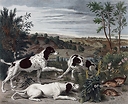 Estampe Bonne, Nonne et Ponne, chiennes de la meute de Louis XIV - François Desportes (Colorisée)