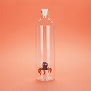 Octopus Bottle - Balvi