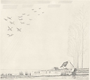 The flight of ducks. (Grande Brière)