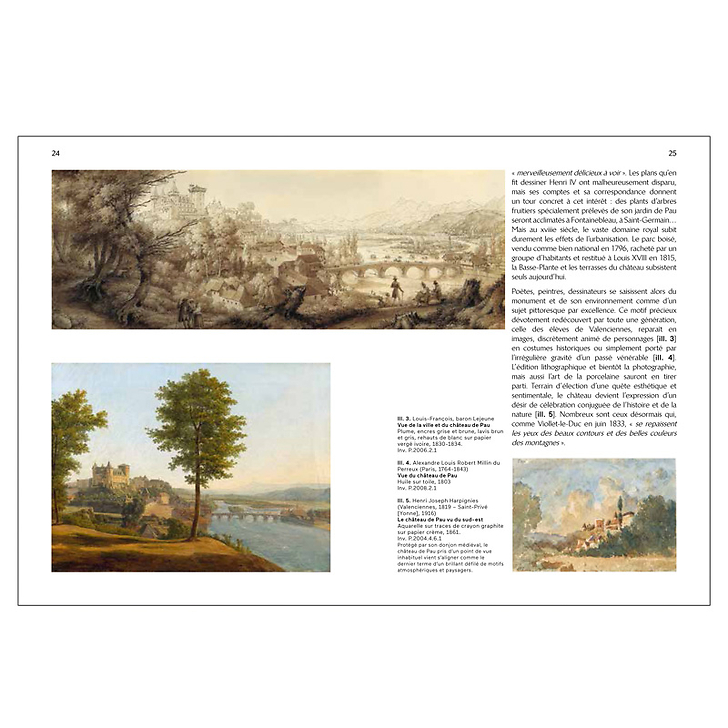 Château de Pau Musée national et domaine - Guide