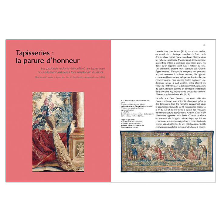 Château de Pau Musée national et domaine - Guide