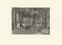 Combat de cerfs - Gustave Courbet