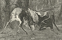 The Battle of the Stags - Gustave Courbet