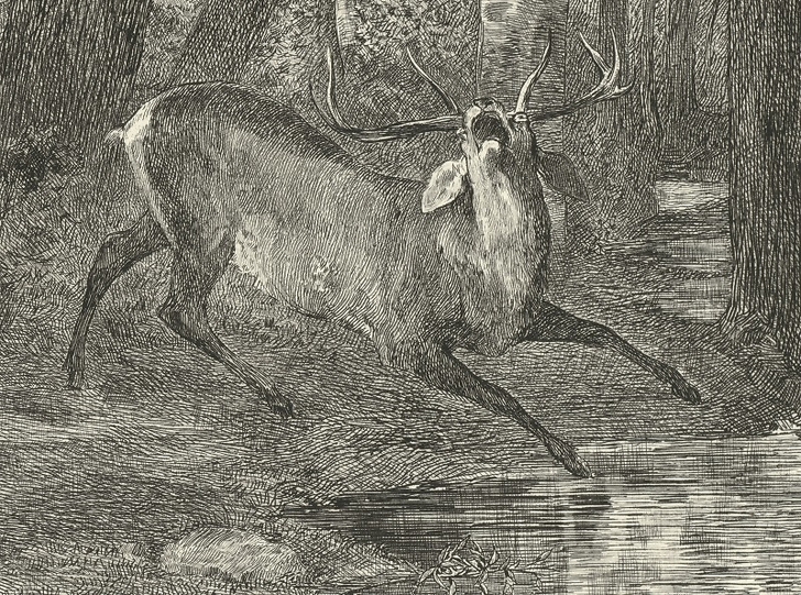 The Battle of the Stags - Gustave Courbet