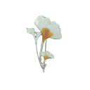 Broche Gingko Art nouveau