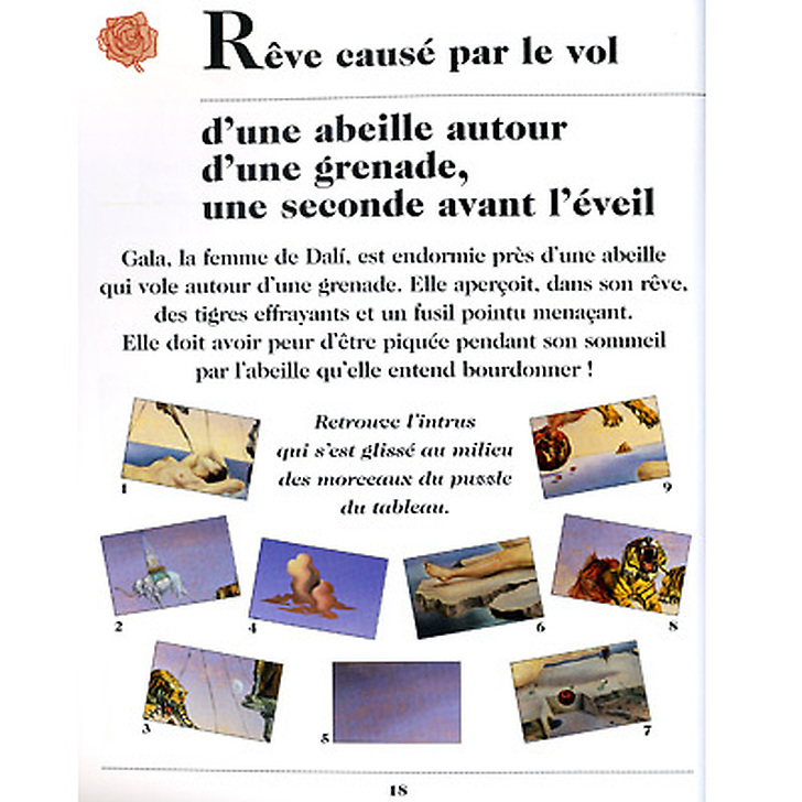 Livre-jeu Quel drôle de génie ce Dalí !