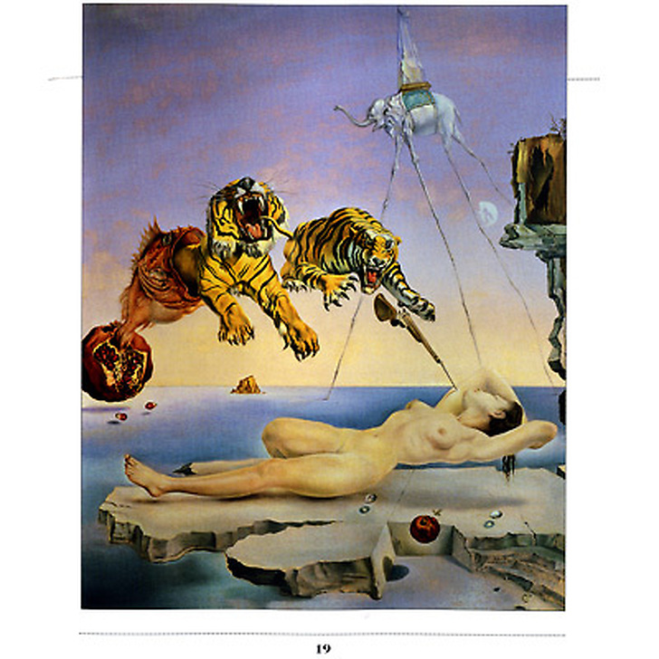 Livre-jeu Quel drôle de génie ce Dalí !