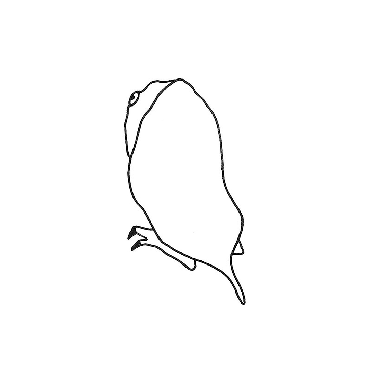 The Monsters House - Léopold Chauveau