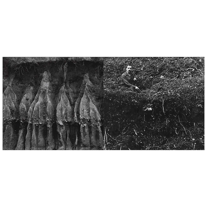 Noir & Blanc : a photographic aesthetic - Exhibition catalogue